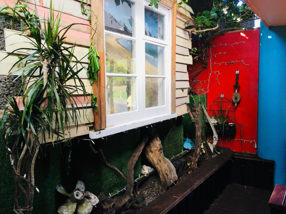 Grafton Backpackers Vandrarhem Auckland Exteriör bild